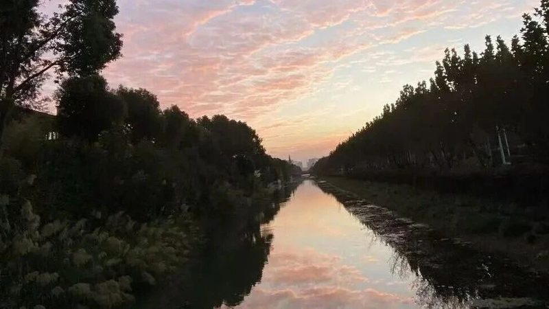 发明专利年费缴纳，上海企业如何合规操作？**